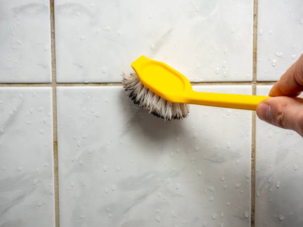 Best Attic Mold Removal  in Marsing, ID