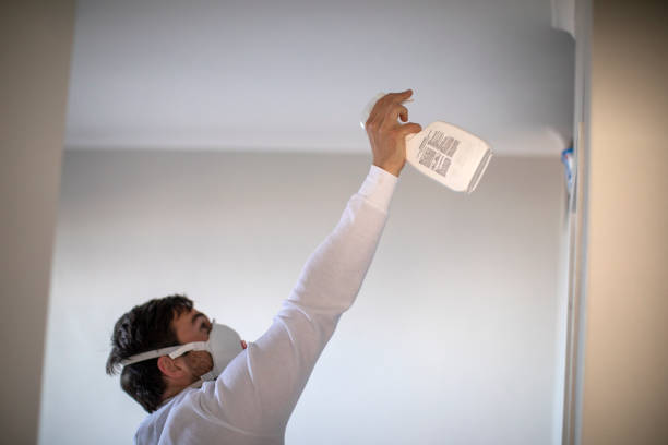 Best Attic Mold Removal  in Marsing, ID