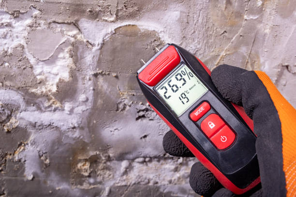 Best Mold Removal Process  in Marsing, ID
