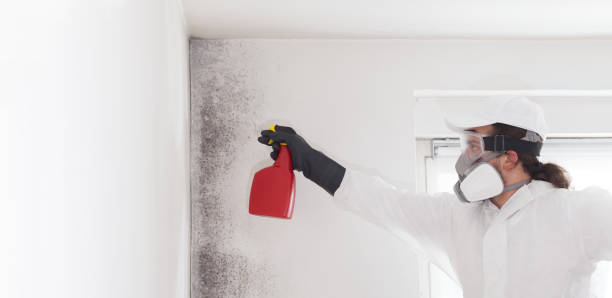 Best Crawl Space Mold Removal  in Marsing, ID